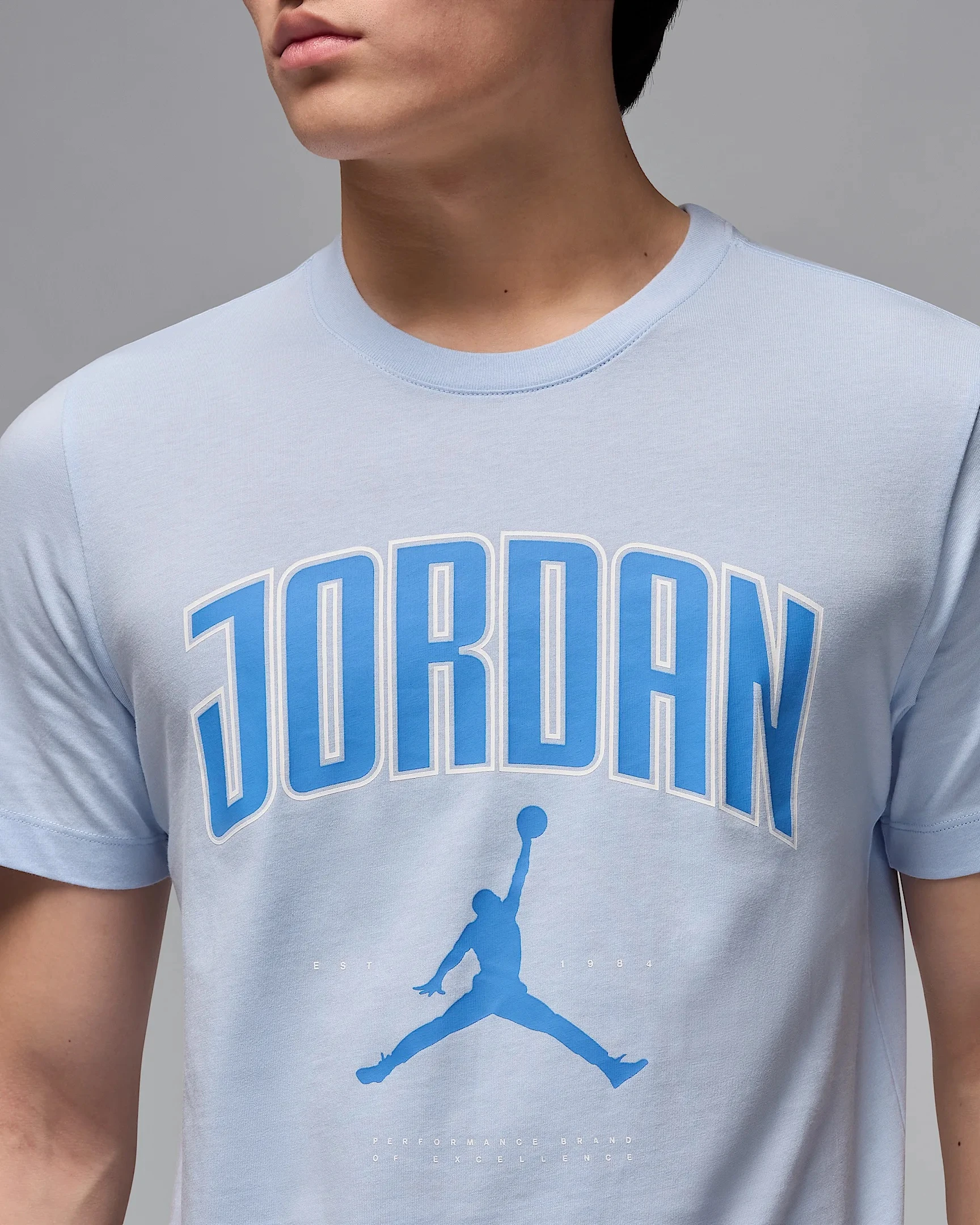 Футболка чоловіча Nike Jordan HQ0009-407, S — фото 5