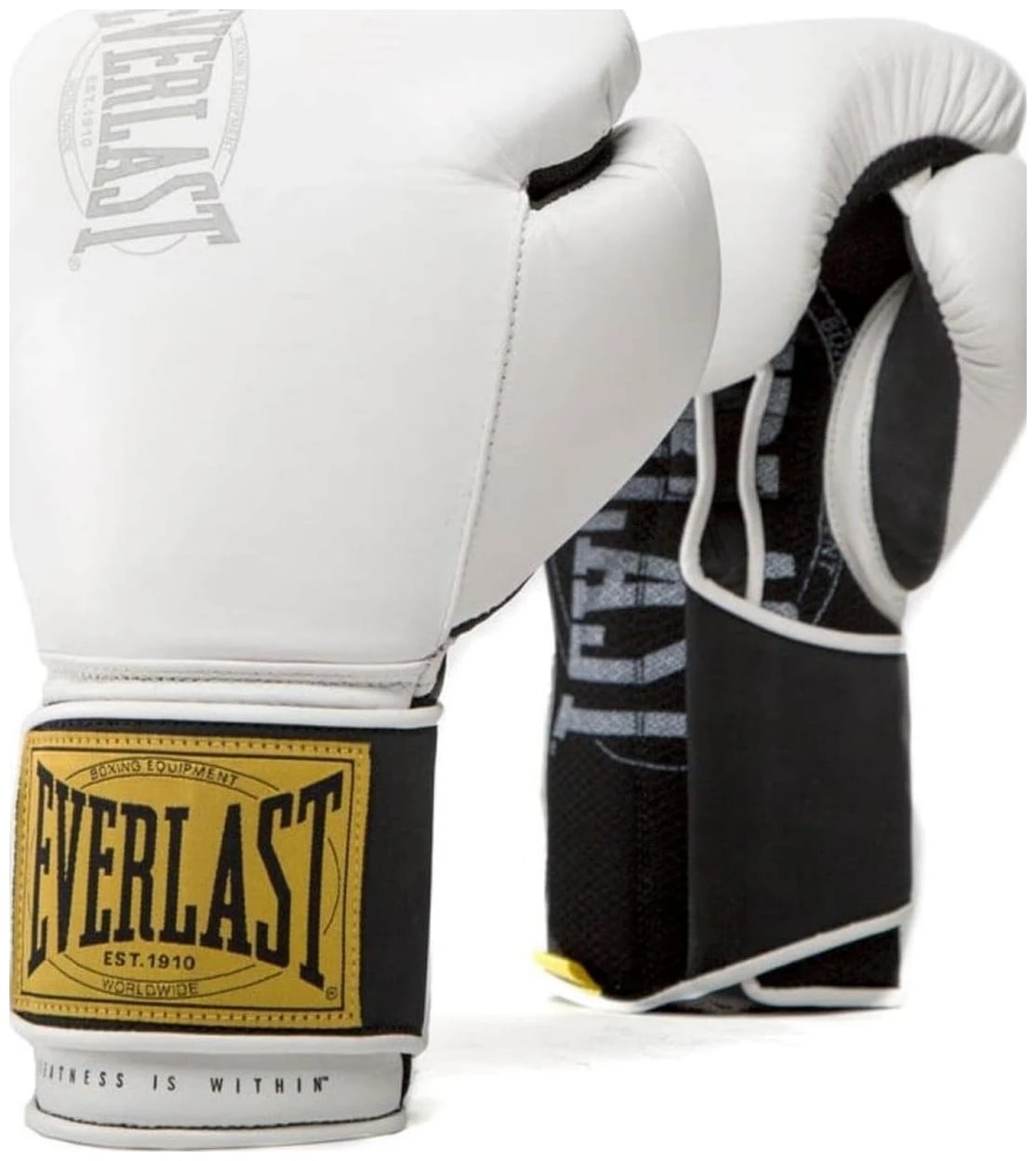 Боксерські рукавиці Everlast 1910 Classic Training Glove (P00001705) — фото 1