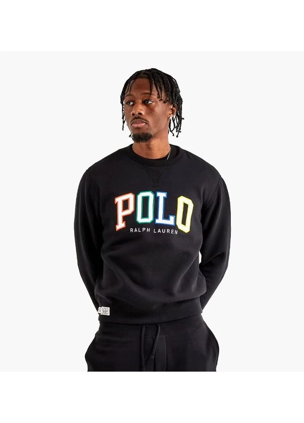 Кофта чоловіча Polo Ralph Lauren Multicolour Embroidery Arch Logo Crew Swea (710890191001) — фото 1