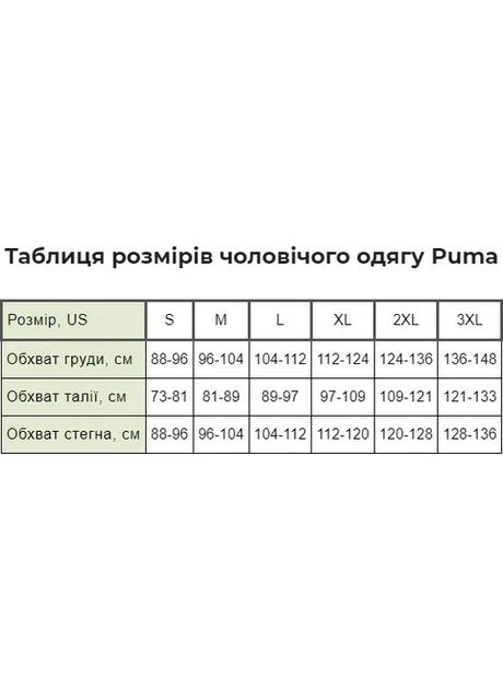 Куртка чоловіча Puma Downguard 600 Down Jacket (84868501) — фото 9