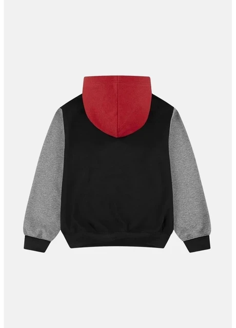 Светр дитячий Jordan Brooklyn Fleece Multi (95F121-KR5) — фото 3