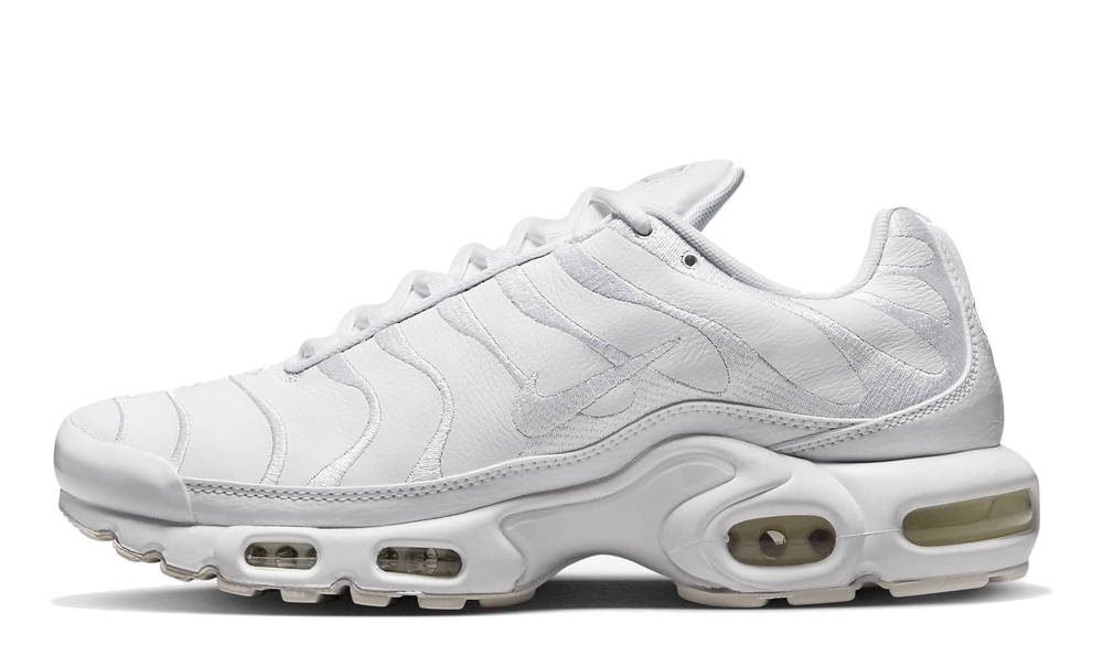 Кросівки чоловічі Nike Air Max Plus (AJ2029-100) — фото 1