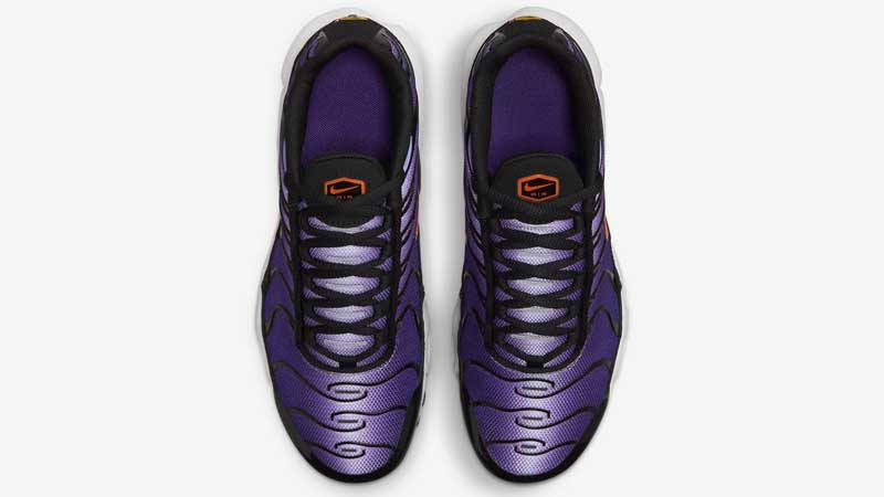 Кросівки жіночі Nike Air Max Plus Gs (CD0609-024) — фото 4