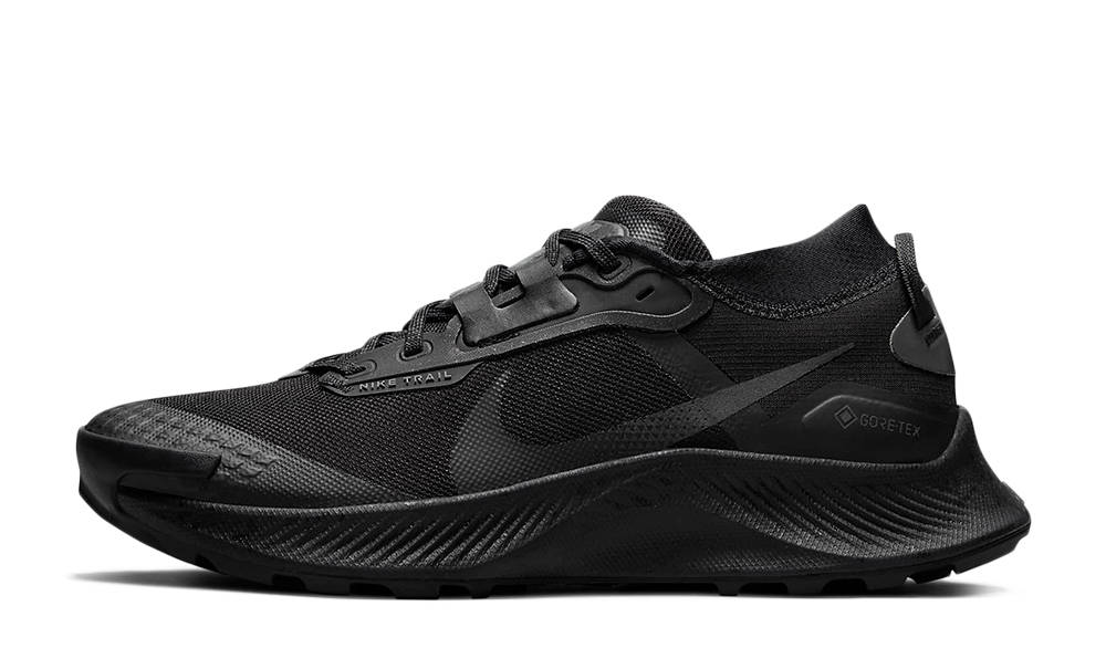 Кросівки для бігу чоловічі Nike Pegasus Trail 3 Gore-Tex (DC8793-001) — фото 1