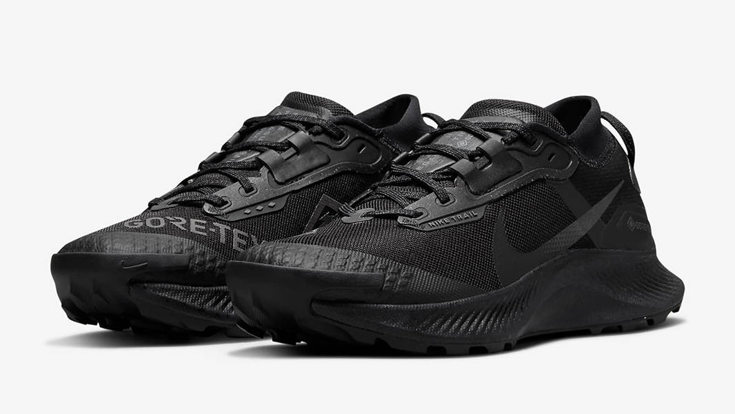 Кросівки для бігу чоловічі Nike Pegasus Trail 3 Gore-Tex (DC8793-001) — фото 3