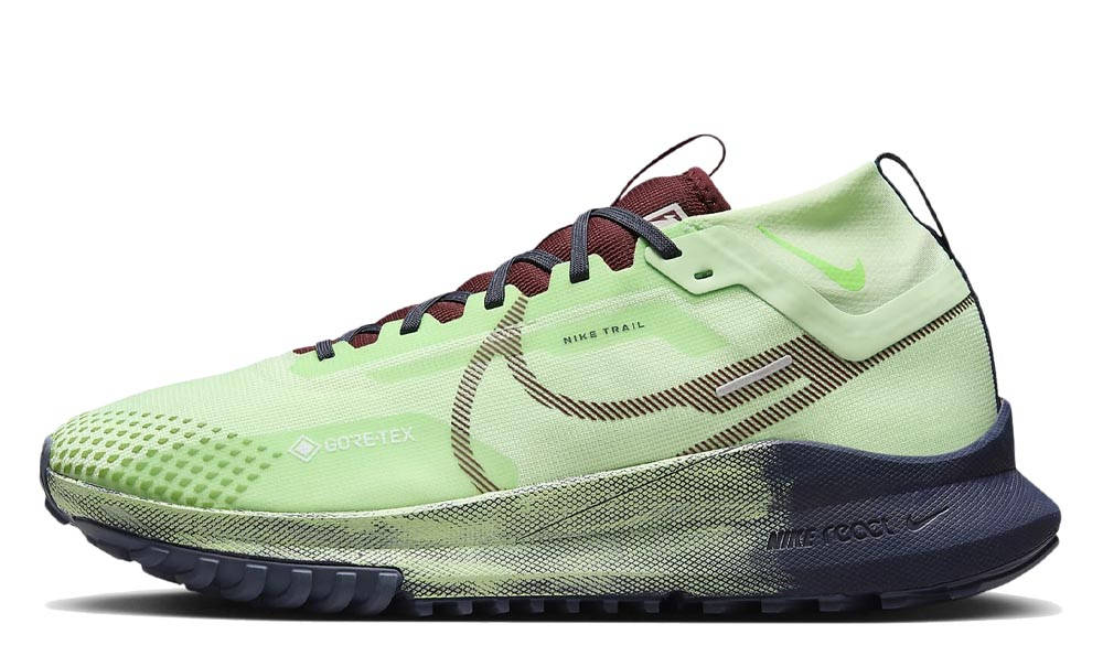 Кросівки для бігу чоловічі Nike Pegasus Trail 4 Gore-Tex (DJ7926-303) — фото 1
