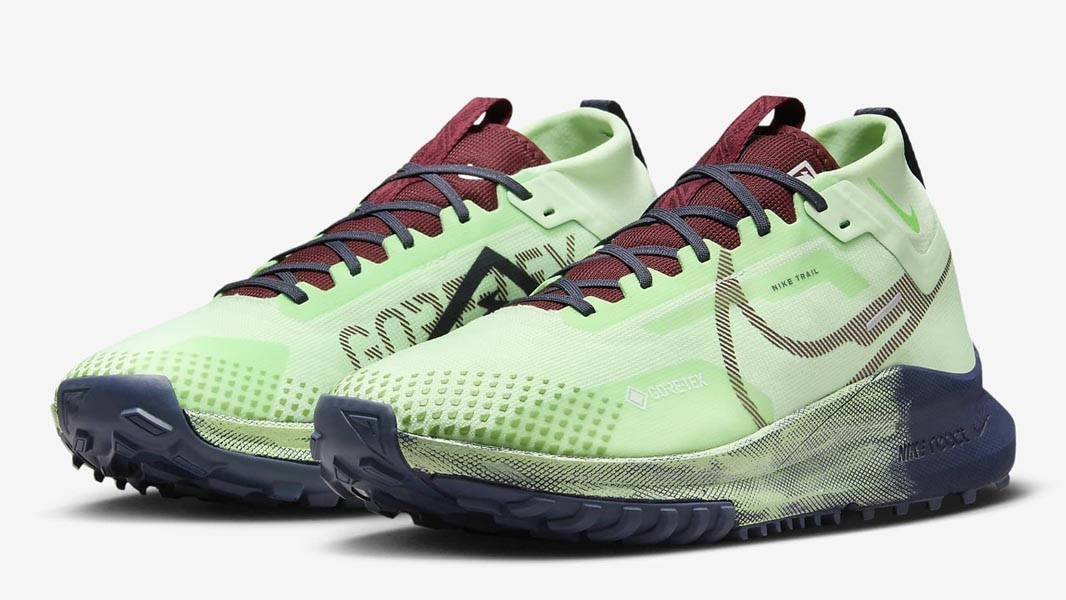 Кросівки для бігу чоловічі Nike Pegasus Trail 4 Gore-Tex (DJ7926-303) — фото 3