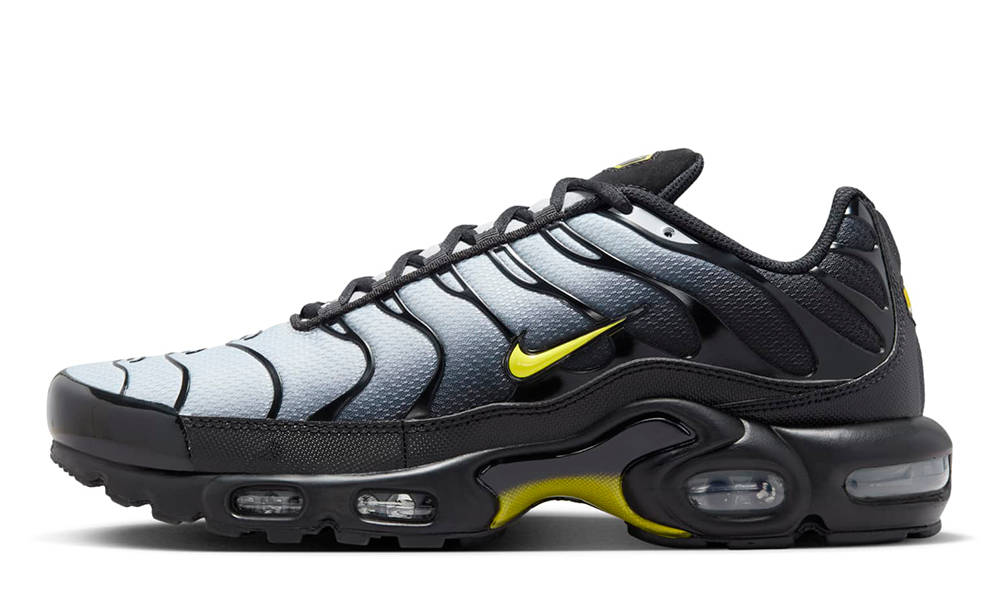 Кросівки чоловічі Nike Air Max Plus (DM0032-012) — фото 1