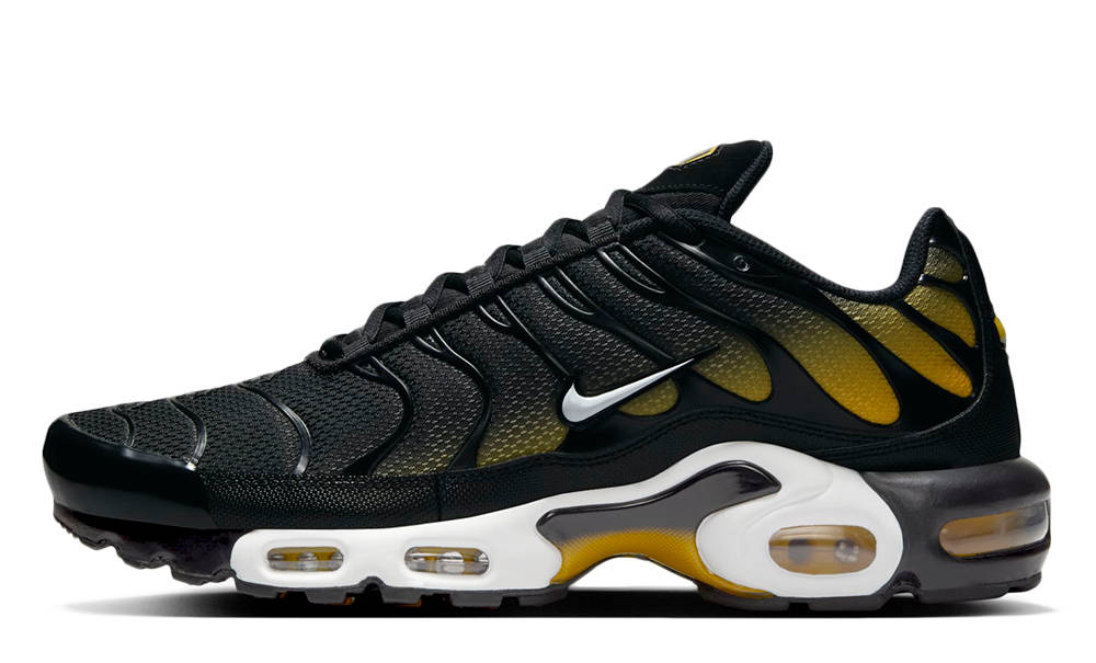 Кросівки чоловічі Nike Air Max Plus (DM0032-013) — фото 1