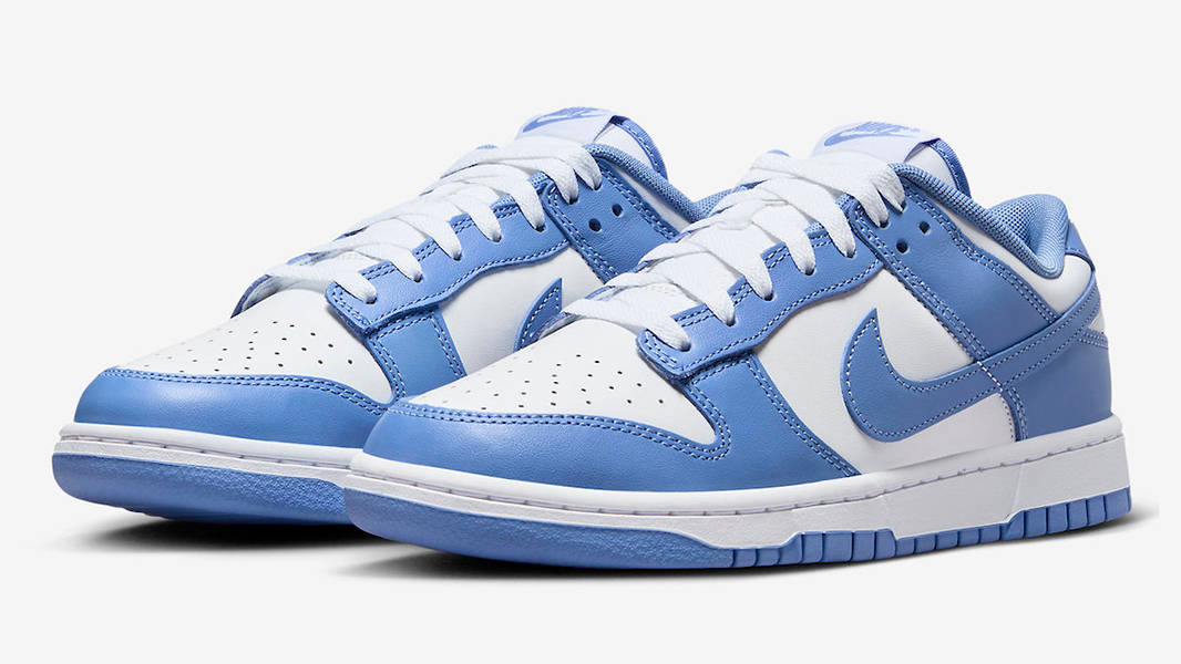 Кросівки чоловічі Nike Dunk Low Polar (DV0833-400) — фото 3