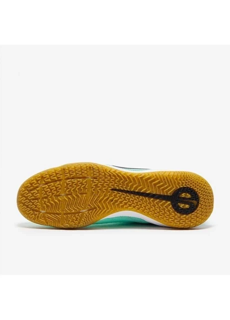 Кросівки для бігу чоловічі Nike Legend 10 Academy Ic (DV4341-300) — фото 6
