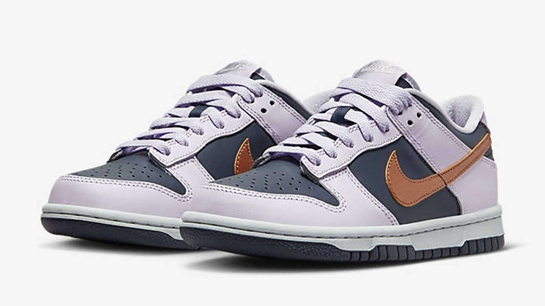 Кросівки жіночі Nike Dunk Low Se Gs (DX1663-400) — фото 3