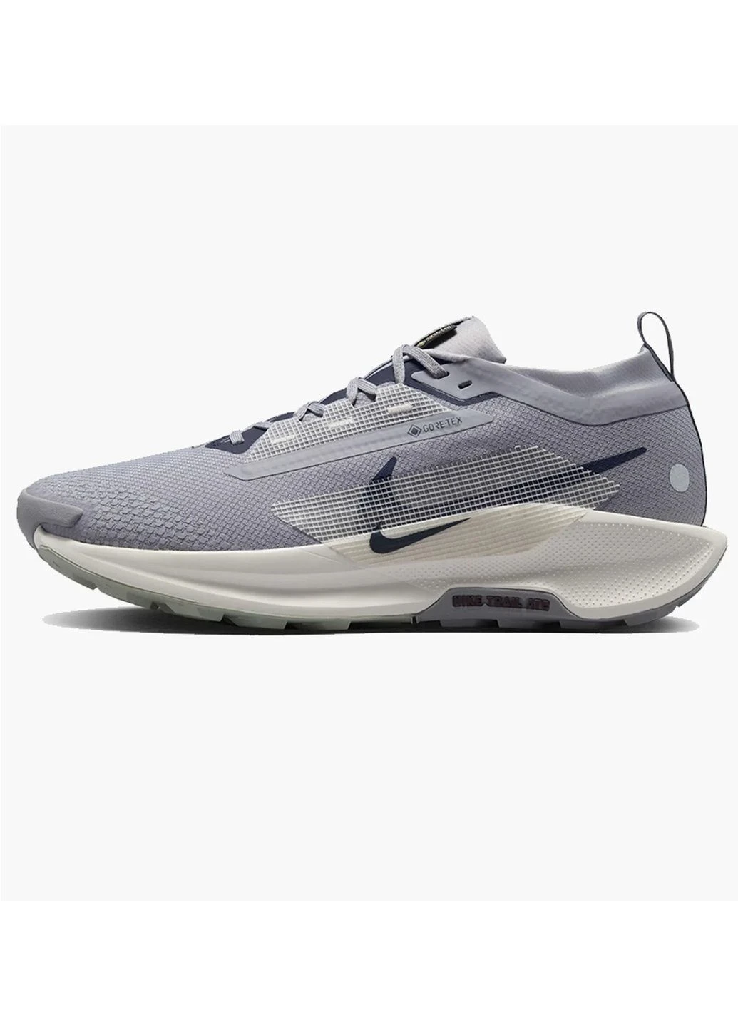 Кросівки чоловічі Nike Pegasus Trail 5 Gtx (FQ0908-006) — фото 1
