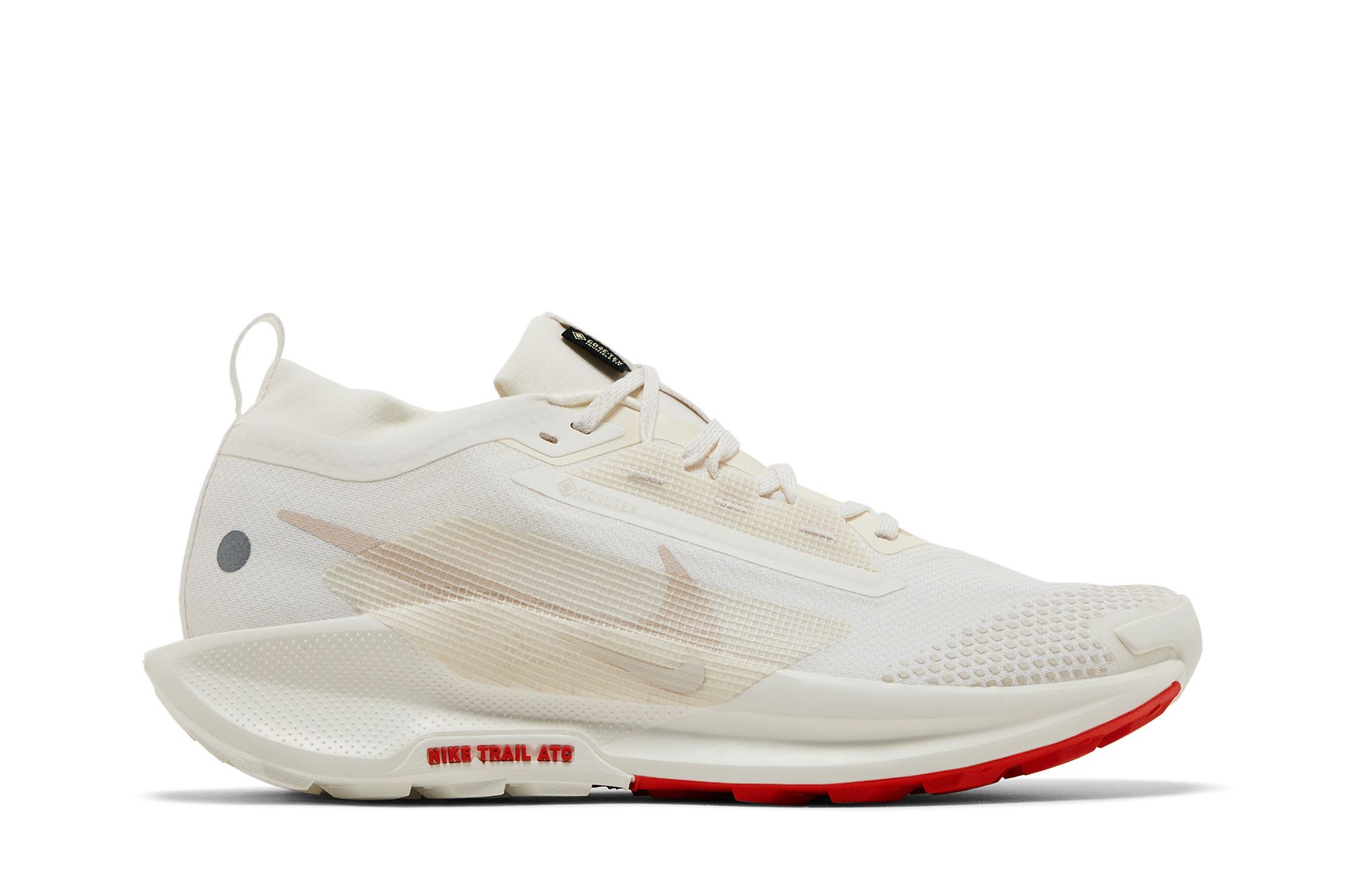 Кросівки чоловічі Nike Trail 5 Gore-Tex (FQ0908-100) — фото 1