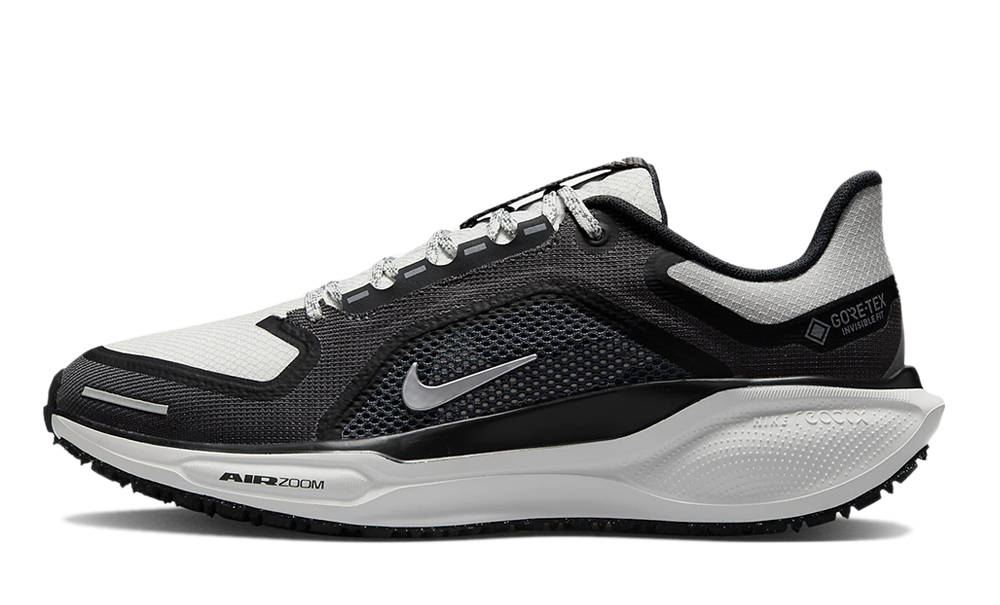 Кросівки унісекс Nike Pegasus 41 Gore-Tex (FQ1357-002) — фото 1