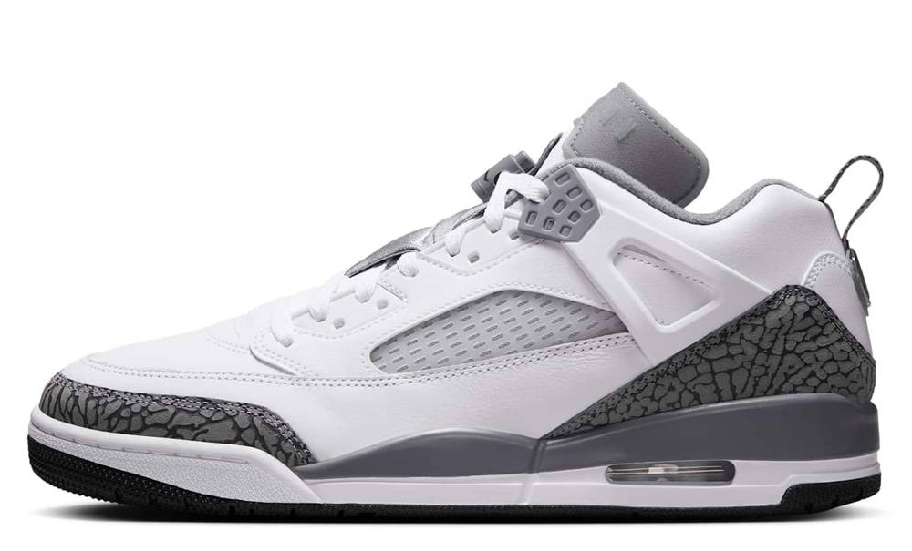 Кросівки чоловічі Jordan Spizike Low (FQ1759-102) — фото 1