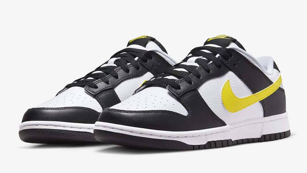 Кросівки чоловічі Nike Dunk Low (FQ2431-001) — фото 3