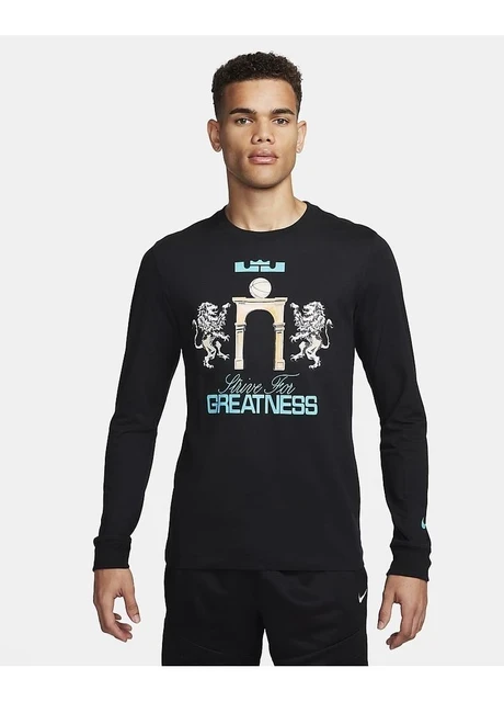 Кофта чоловіча Nike T-Shirtlebron (FQ4908-010) — фото 3