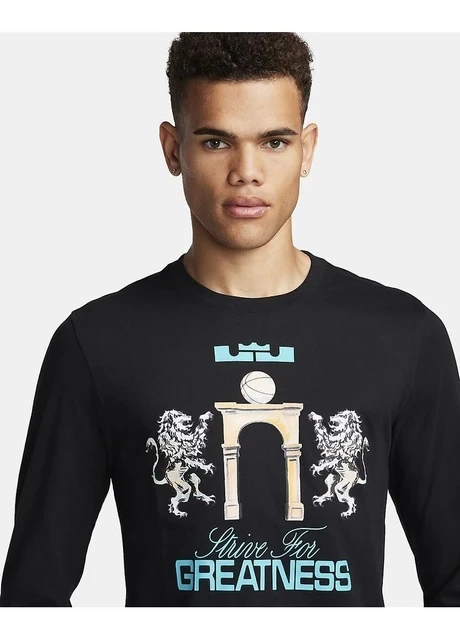 Кофта чоловіча Nike T-Shirtlebron (FQ4908-010) — фото 5