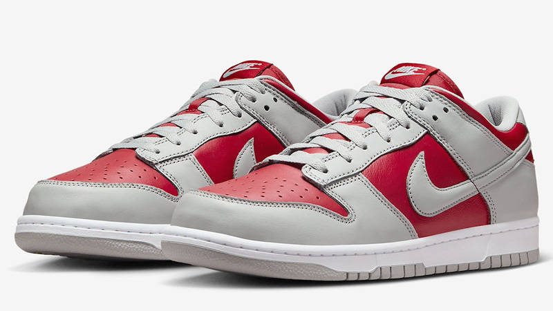 Кросівки чоловічі Nike Dunk Low (FQ6965-600) — фото 3