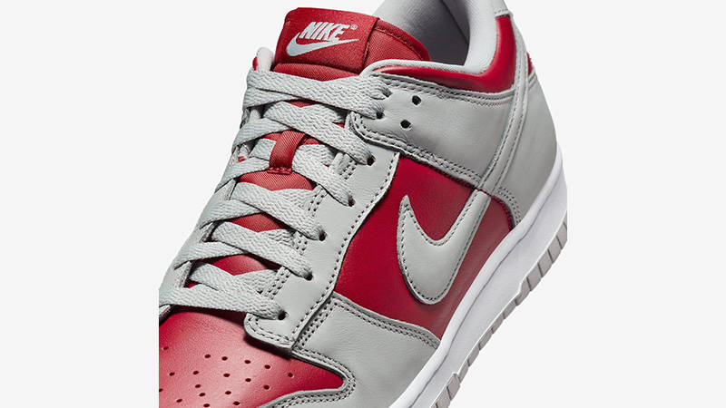 Кросівки чоловічі Nike Dunk Low (FQ6965-600) — фото 4