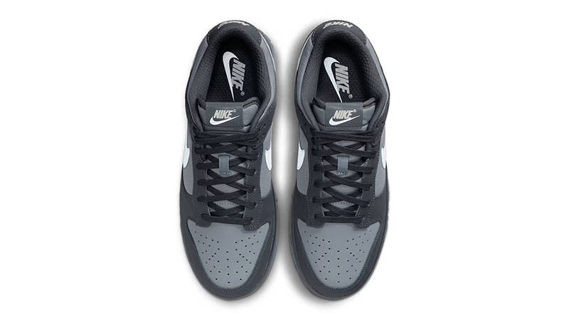Кросівки чоловічі Nike Dunk Low (FV0384-001) — фото 4