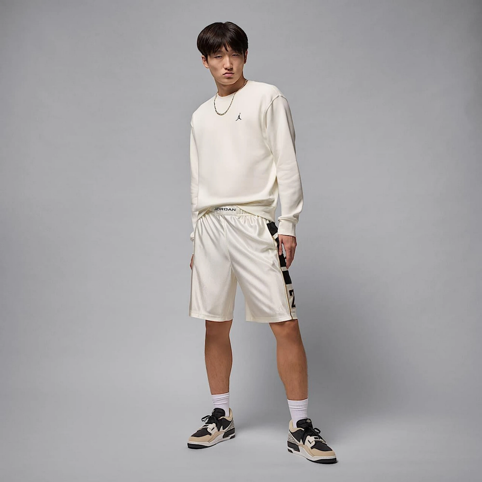Кофта чоловіча Jordan Air Jordan Brooklyn Fleece Fz Crew Beige (FV7293-133) — фото 6