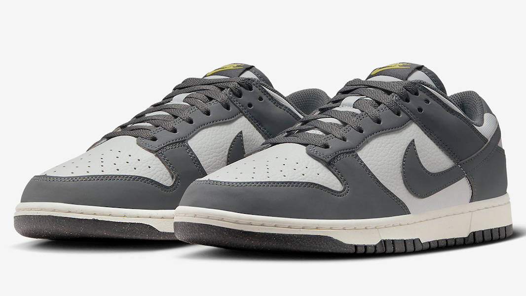 Кросівки чоловічі Nike Dunk Low Next Nature (FZ4621-001) — фото 3
