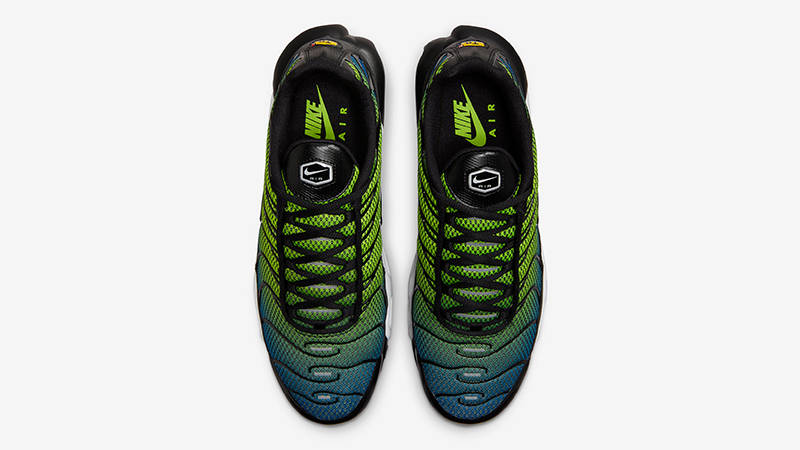 Кросівки чоловічі Nike Air Max Plus "Royal Checker" (FZ4628-001) — фото 5