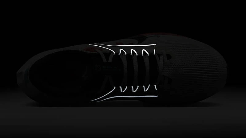 Кросівки для бігу чоловічі Nike Air Zoom Pegasus 40 (FZ5055-101) — фото 6