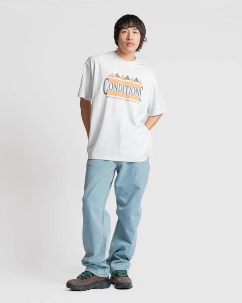 Футболка чоловіча Nike Nike Acg Nrg Df T-Shirt Frontier (FZ6702-121) — фото 5