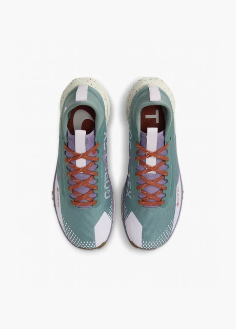 Кросівки жіночі Nike Pegasus Trail 4 Gore-Tex (HF5027-361) — фото 7