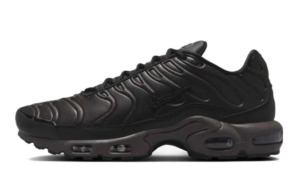 Кросівки чоловічі Nike Air Max Plus (HJ4519-200) — фото 1