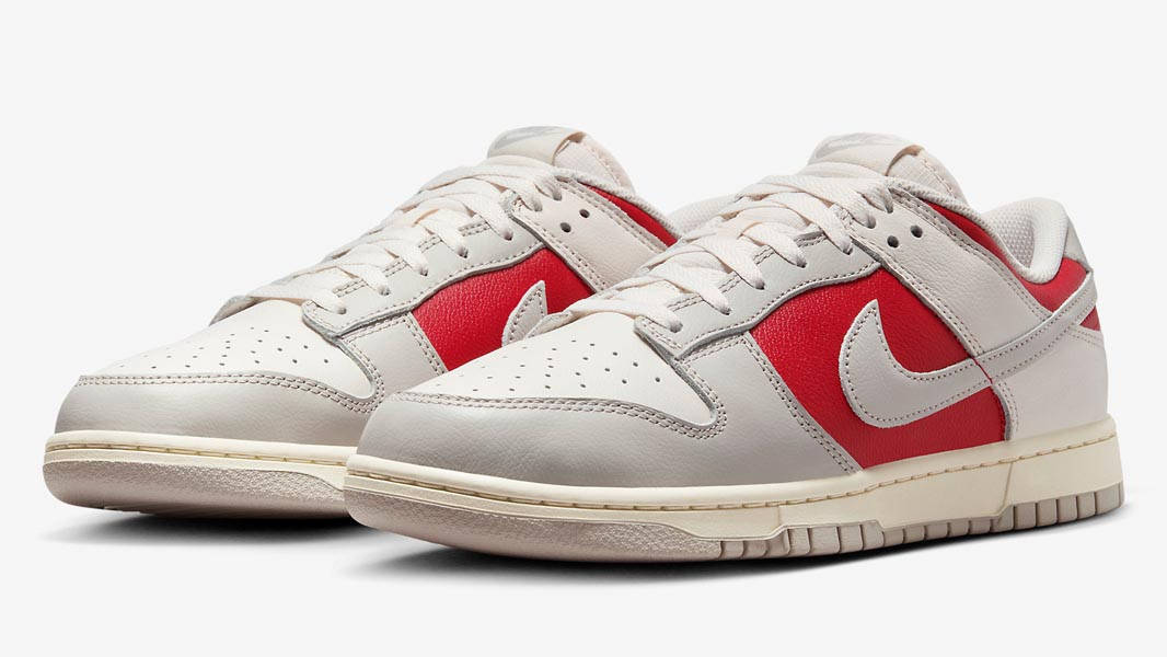 Кросівки чоловічі Nike Dunk Low Light Iron (HJ9093-030) — фото 3