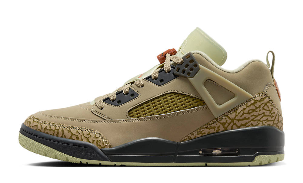 Кросівки чоловічі Jordan Air Spizike Low Neutral (HM4732-200) — фото 1
