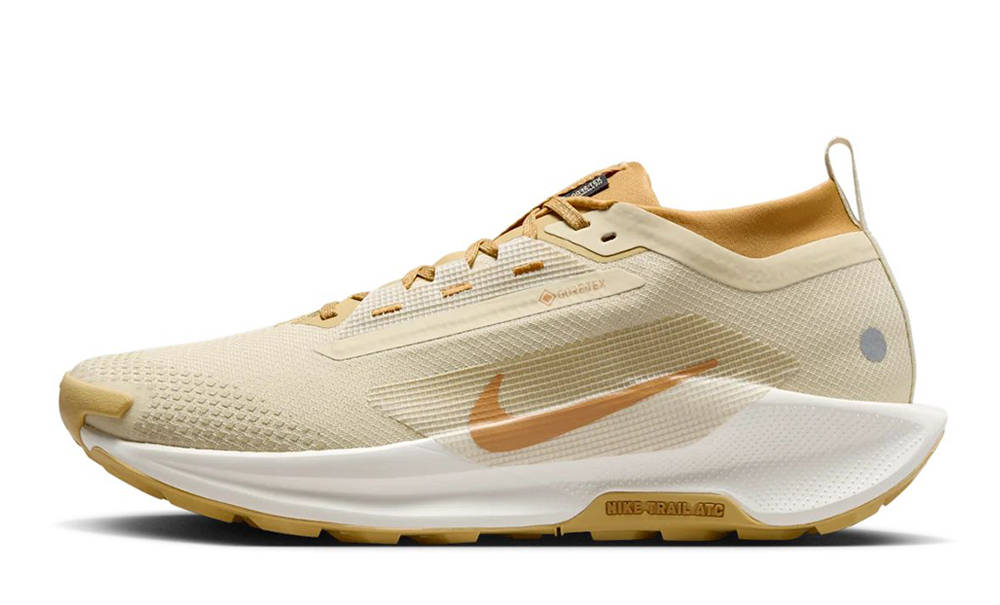 Кросівки Nike ReactX Pegasus Trail 5 GTX SP — фото 1