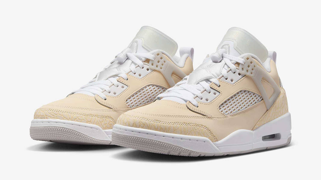 Кросівки чоловічі Jordan Air Spizike Low (HV6528-100) — фото 3