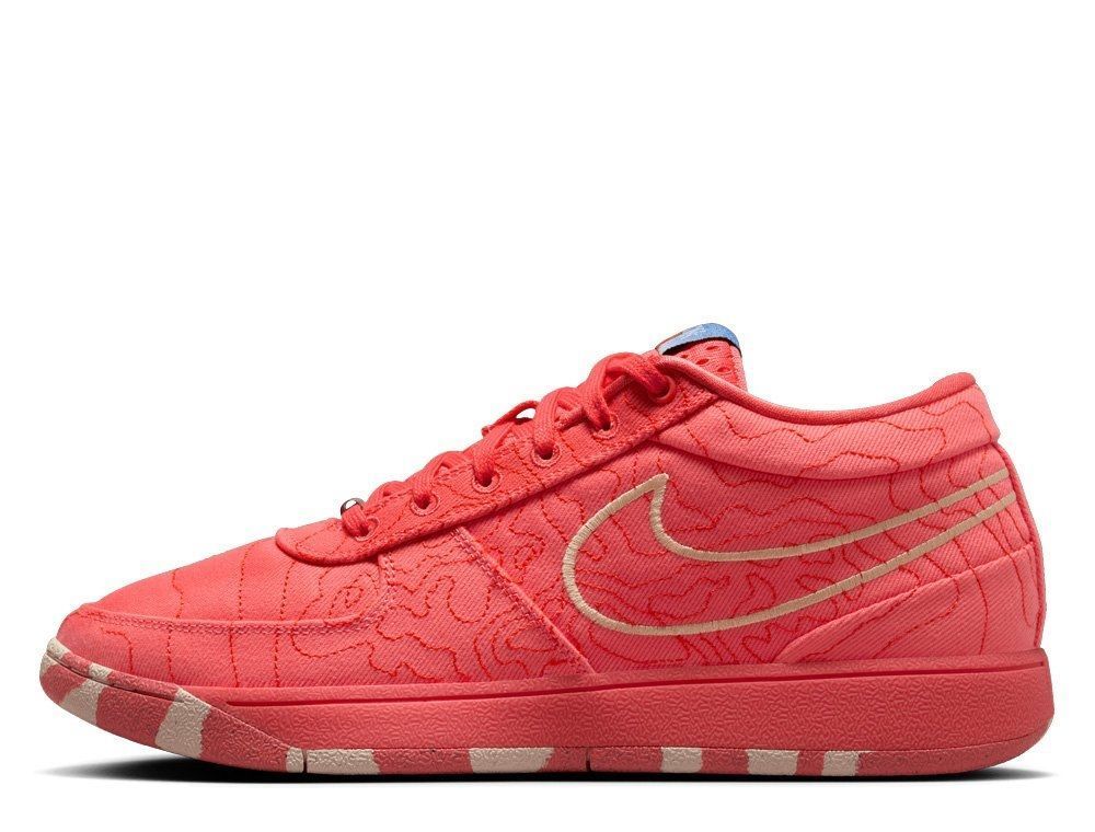 Кросівки чоловічі Nike Book 1 (IB8054-800) — фото 1