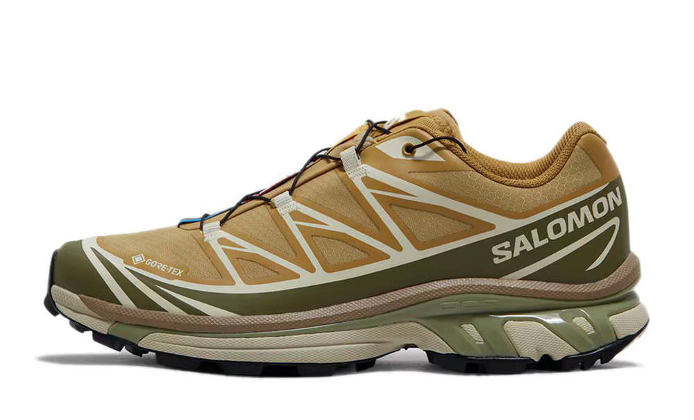 Кросівки чоловічі Salomon XT-6 GORE-TEX 'Antelope Portabella' — фото 1