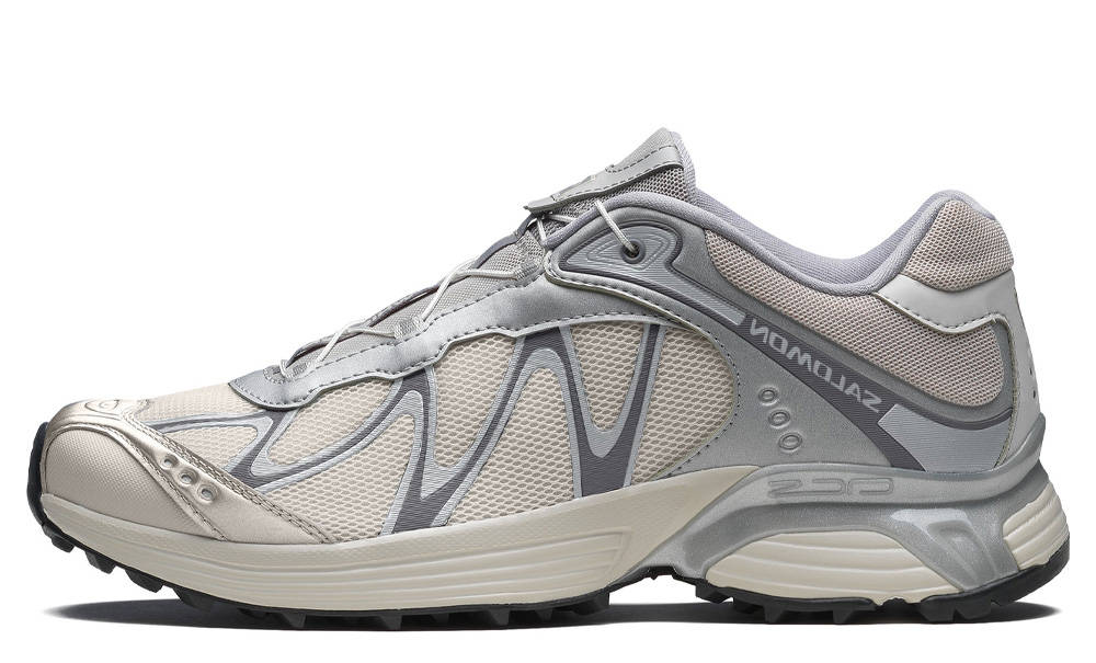 Кросівки Salomon XT-Whisper 'Silver Lunar Rock' — фото 1
