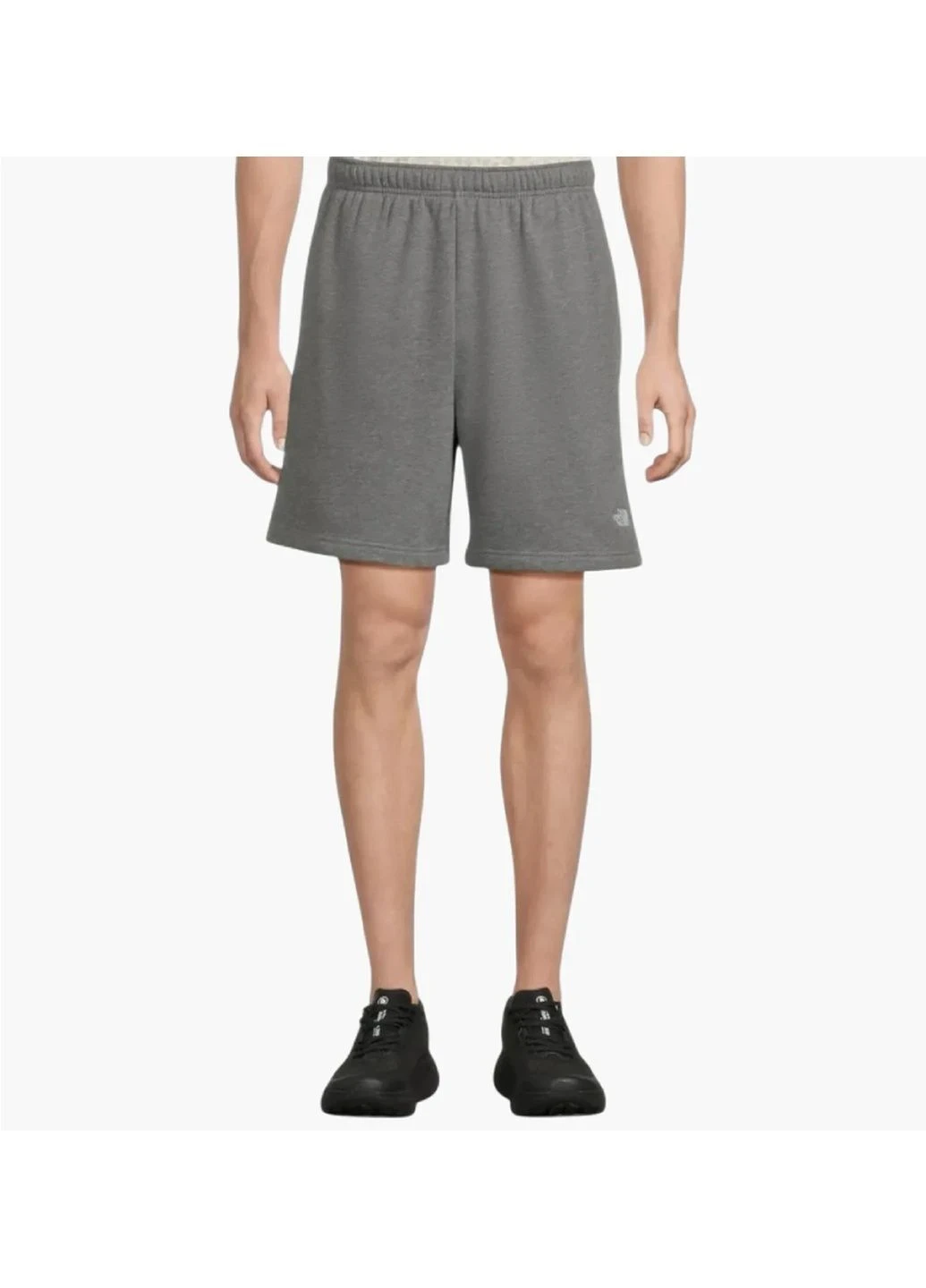 Шорти The North Face Short Evolution Emb grey — фото 1