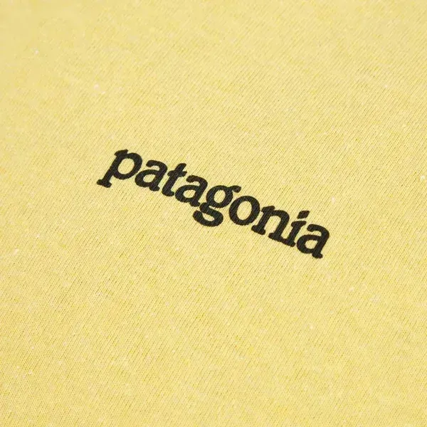 Футболка Patagonia M's Fitz Roy Horizons Responsibili — фото 4