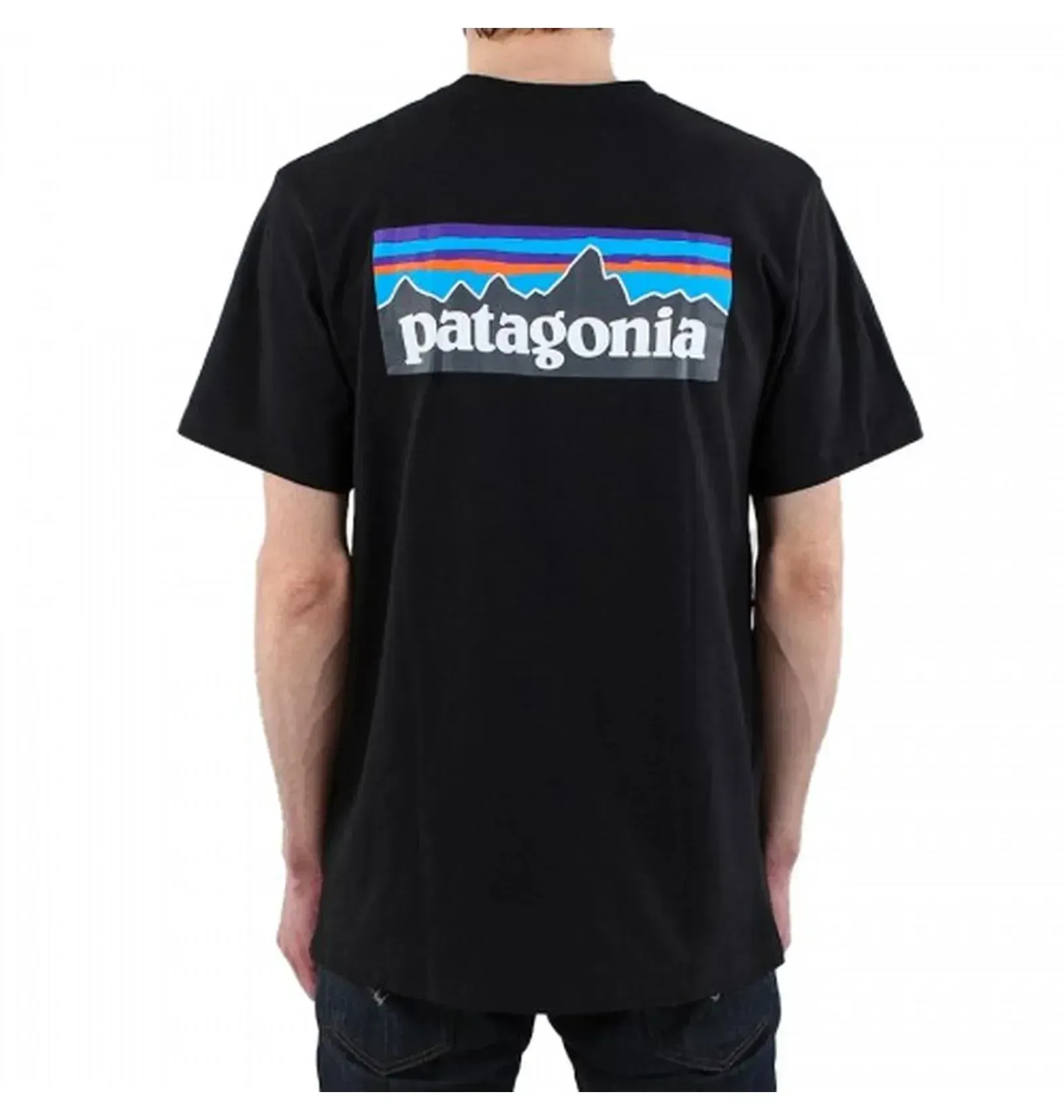 Футболка чоловіча Patagonia P-6 Logo Responsibili (38504BLK) — фото 6