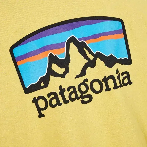 Футболка Patagonia M's Fitz Roy Horizons Responsibili — фото 5