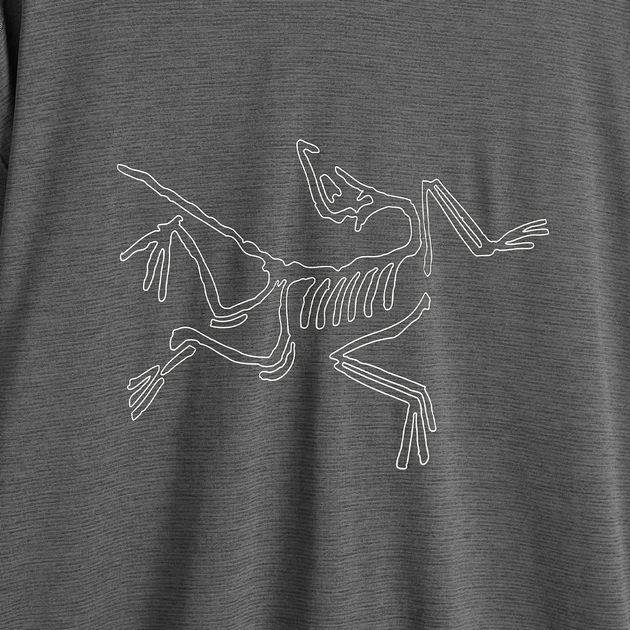 Термобілизна чоловіча Arc'teryx Cormac Logo Grey (X000008452) — фото 1