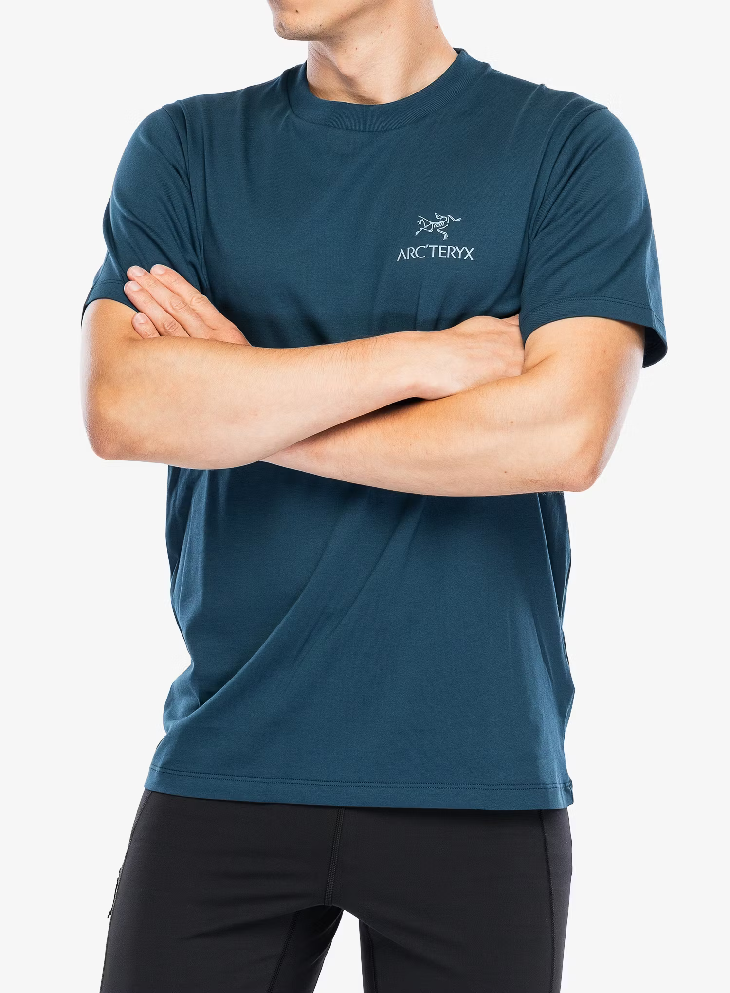 Футболка Arc'teryx Kragg SL Cotton Bird Word — фото 6