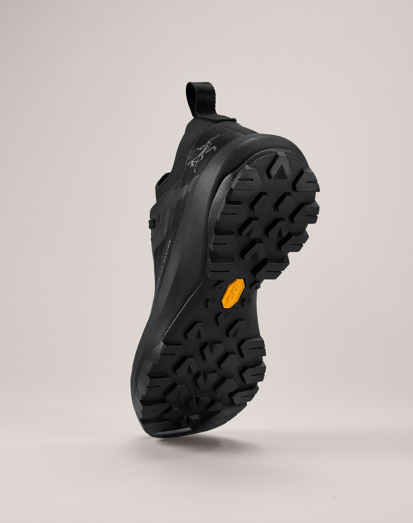 Кросівки Arc'teryx Vertex Alpine GTX W — фото 11
