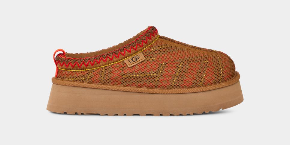 Тапочки жіночі Ugg Maxi Tasman Slippers (1140430) — фото 1