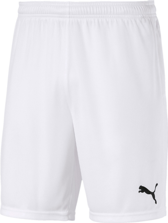 Шорти Puma teamGOAL 23 knit Shorts — фото 1